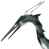 Echo Cyan-Feathered Heron